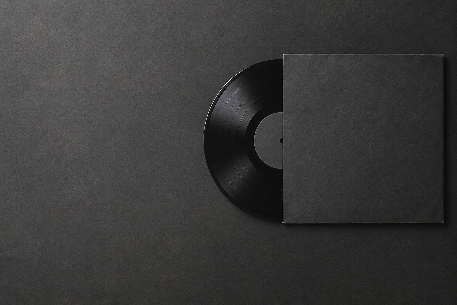 A vinyl record in a charcoal sleeve